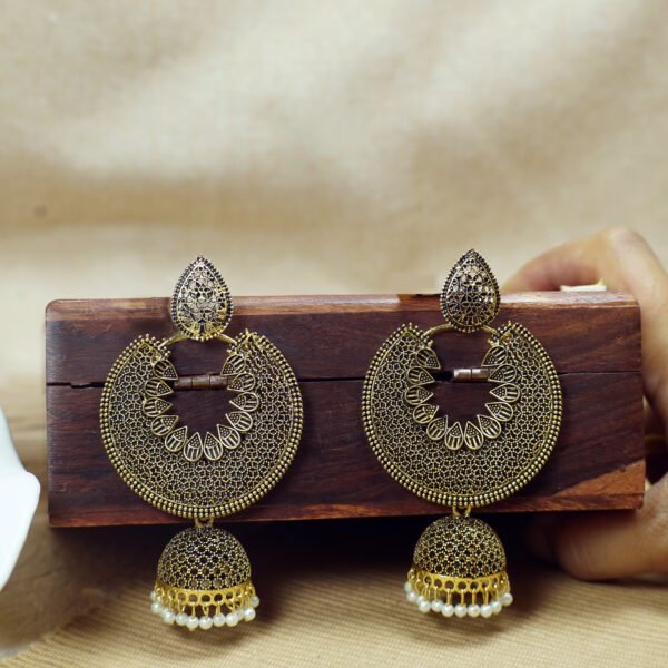 Earrings
